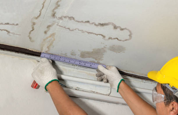 Reliable Mold Remediation contractor in Capac, MI by Water Damage Irwin